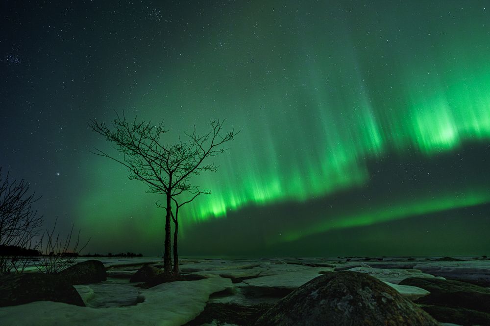 Photograph by Andrew Kuprin