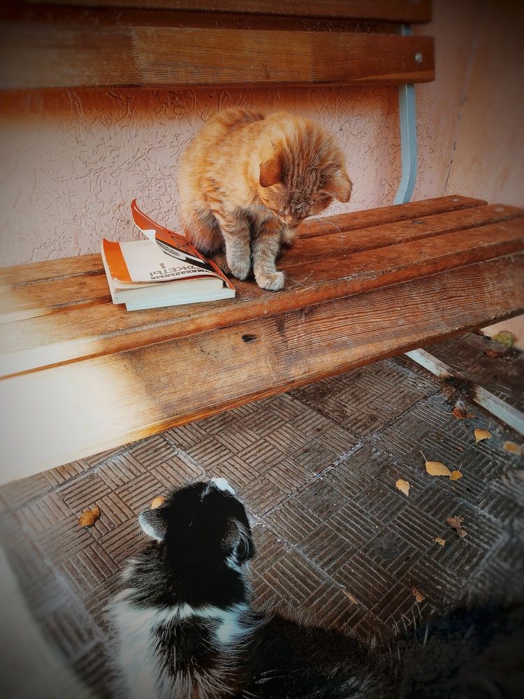 Photograph by Ольга Мажарук