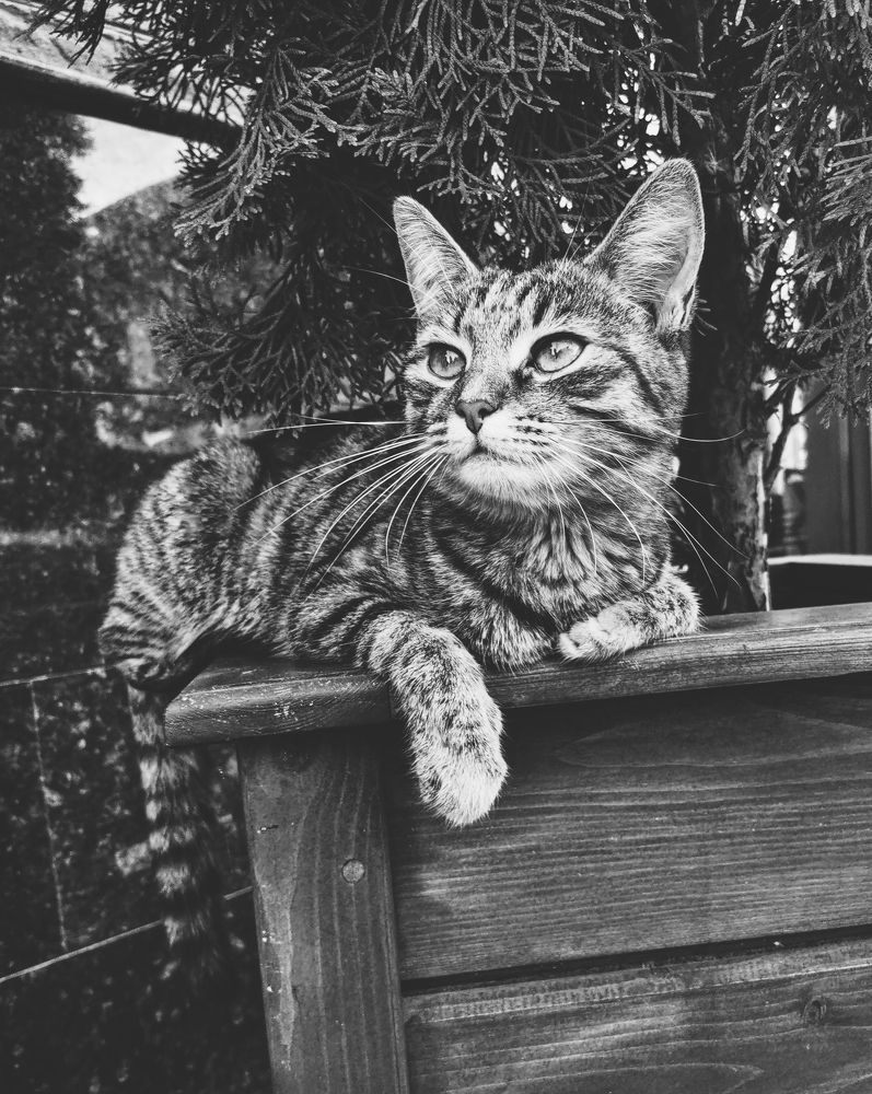 Photograph by Ольга Мажарук