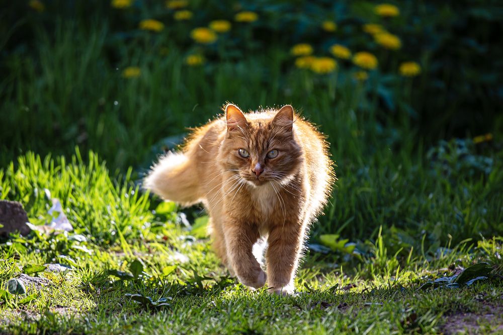 Photograph by Николай Велицкий