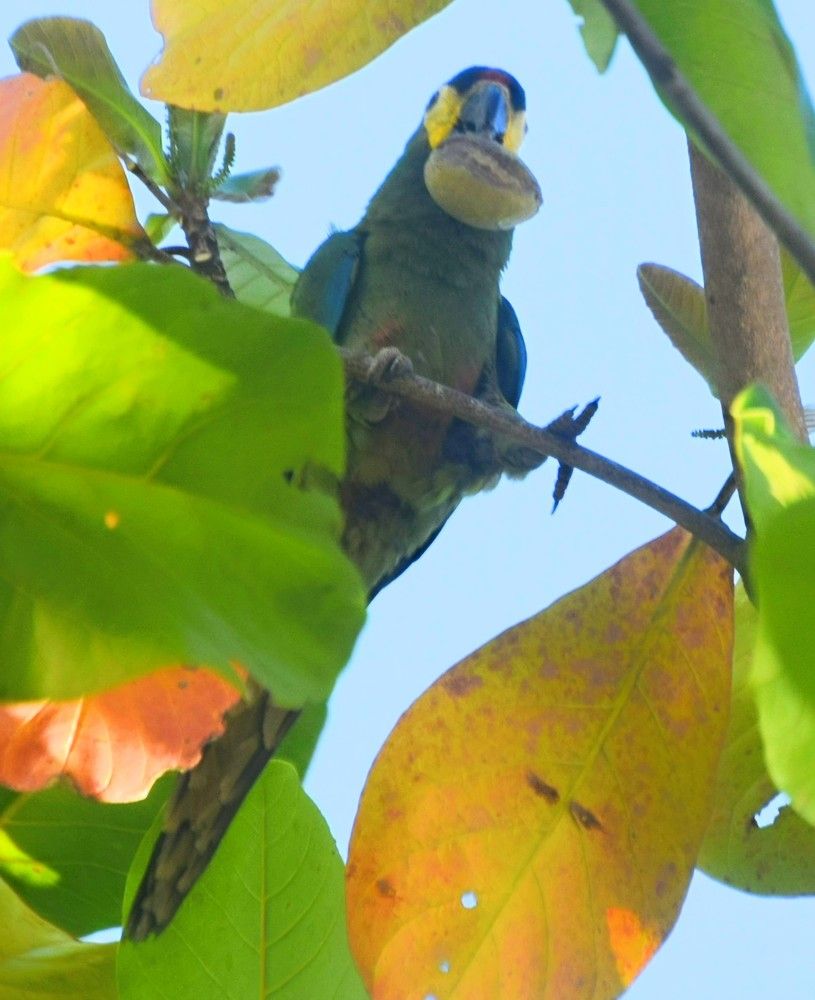 Photograph by Pedro Gonçalves