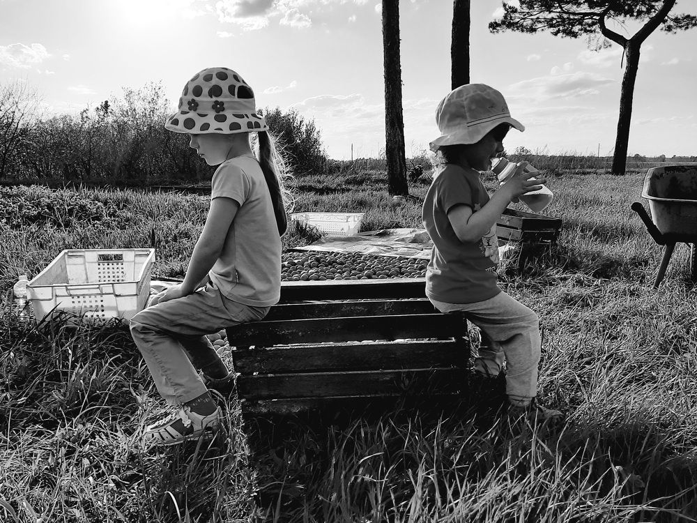 Photograph by Андрей Безгин