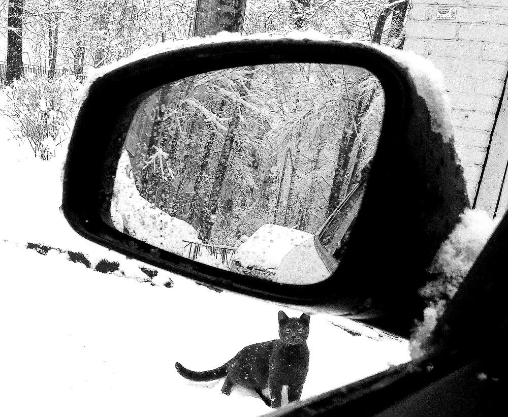 Photograph by Вадим Маслов