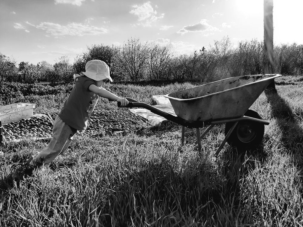 Photograph by Андрей Безгин