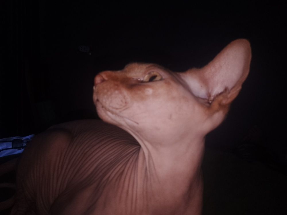 Photograph by Рамиль Давлетбаев