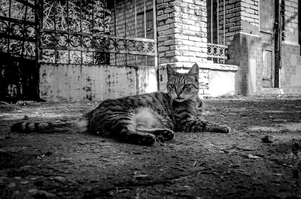 Photograph by Вадим Маслов