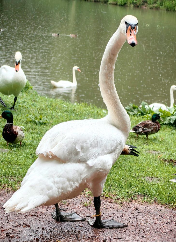 Photograph by Гусева Марина