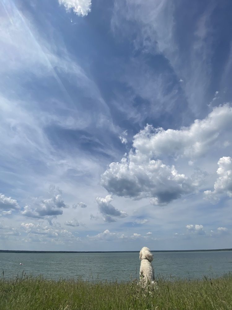 Photograph by Евгения Пржевальская