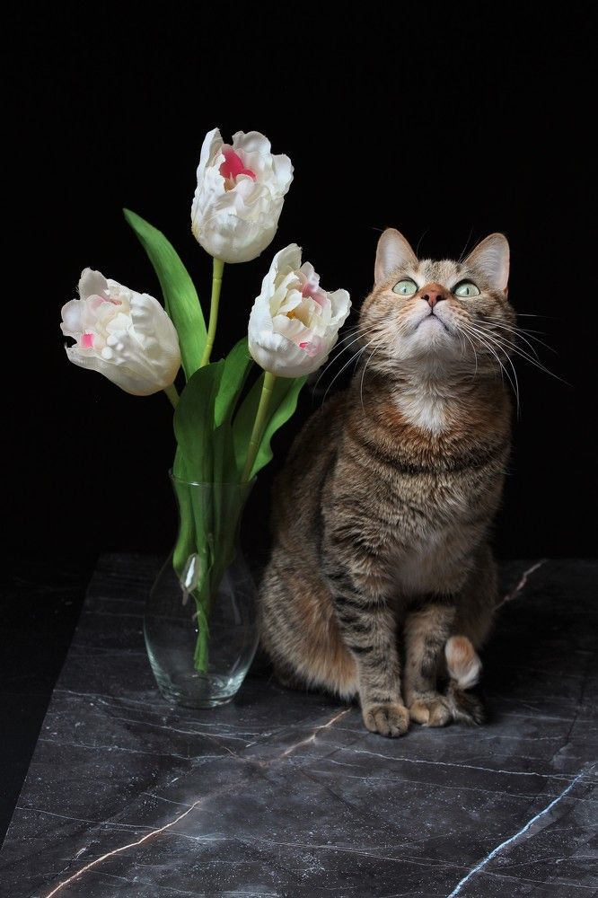 Photograph by Кира Иванова