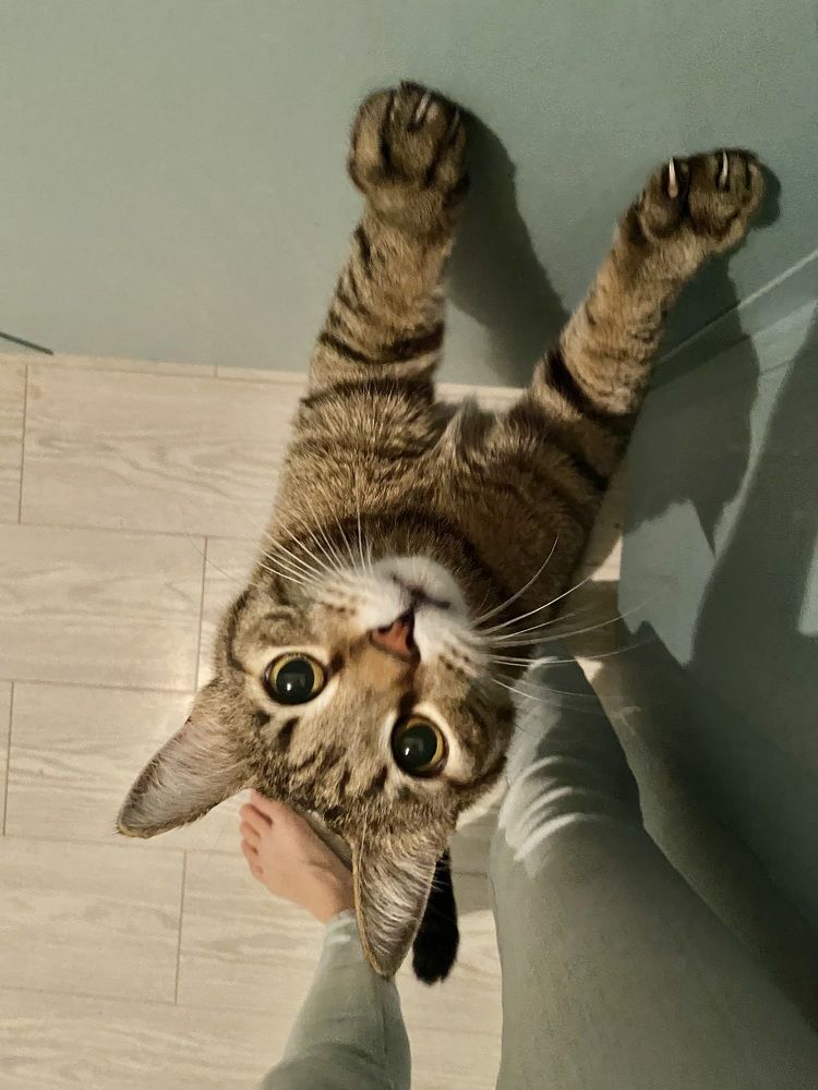 Photograph by Евгения Пржевальская