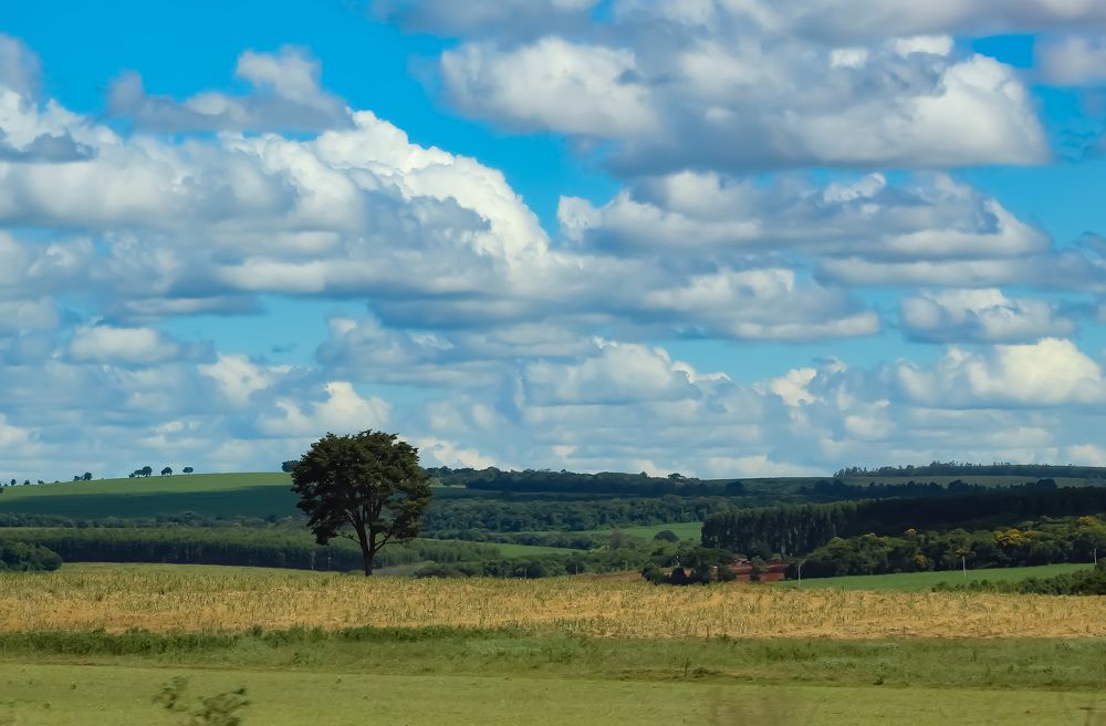 Фотография автора Márcia C S Machado