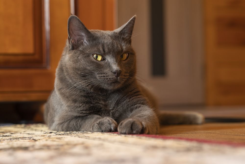 Photograph by Денис Сидоров