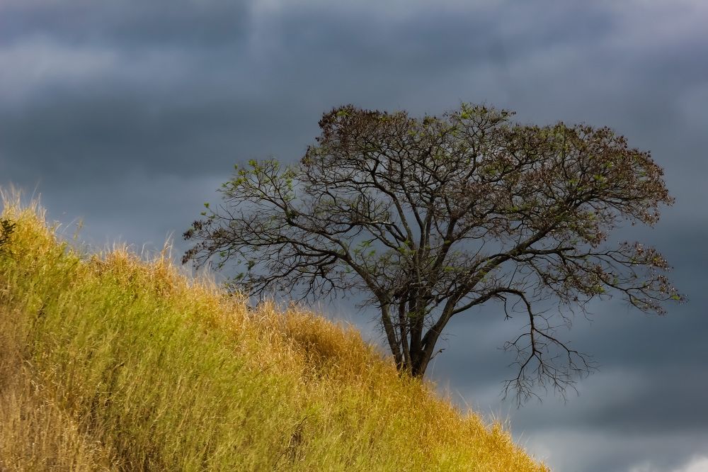 Фотография автора Márcia C S Machado