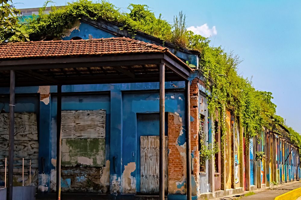 Фотография автора Márcia C S Machado