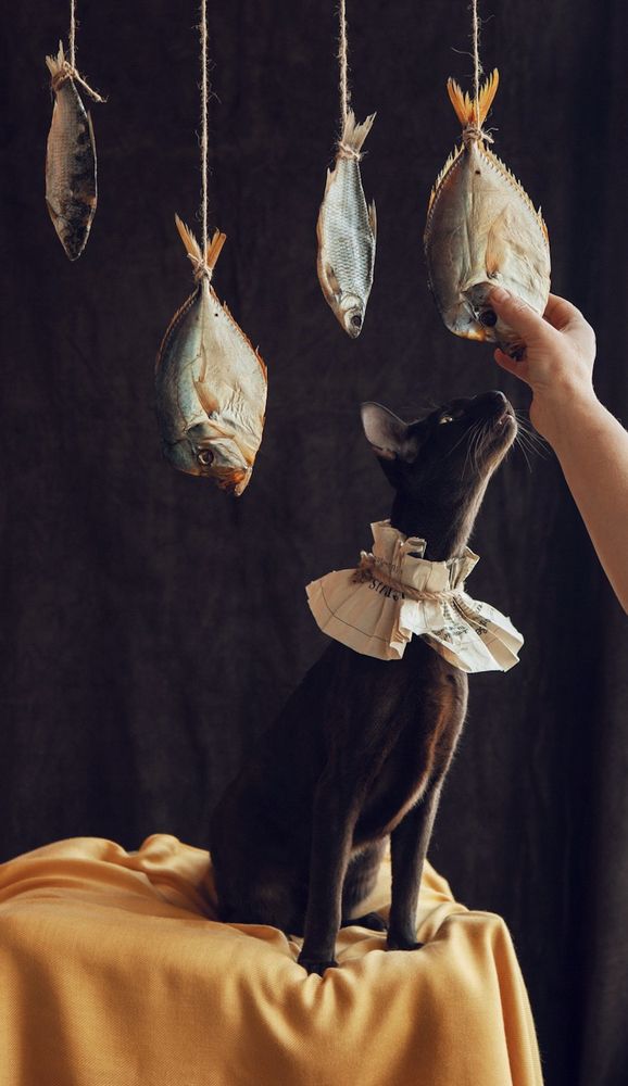 Фотография автора Galina Sa