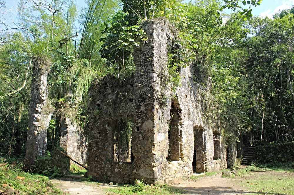 Фотография автора Márcia C S Machado