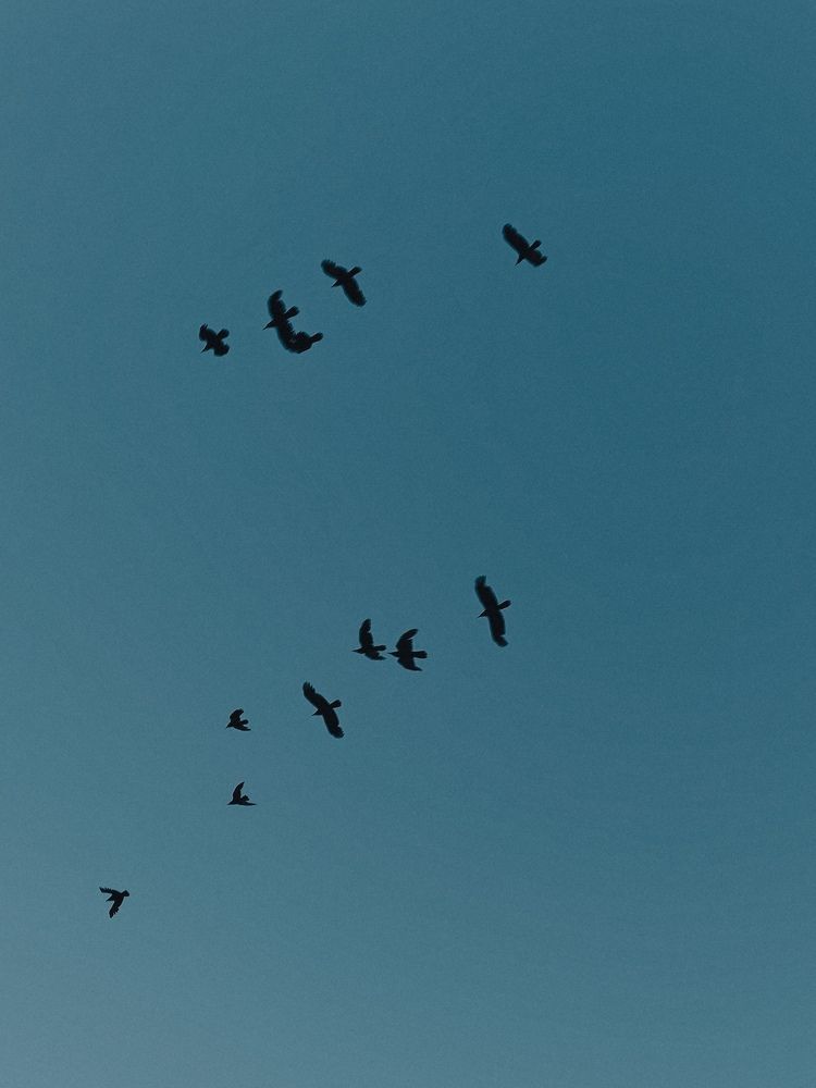 Photograph by Maria Stankevich