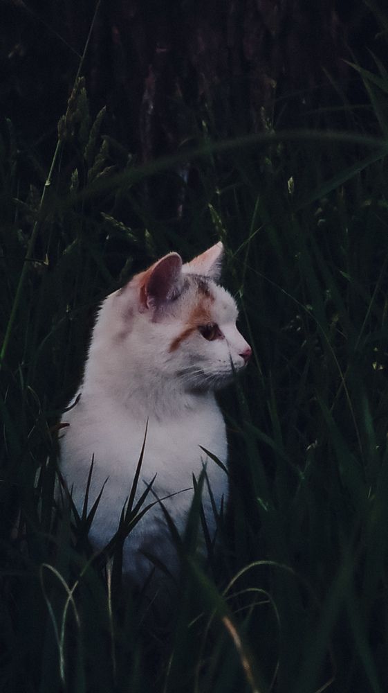 Photograph by Maria Stankevich