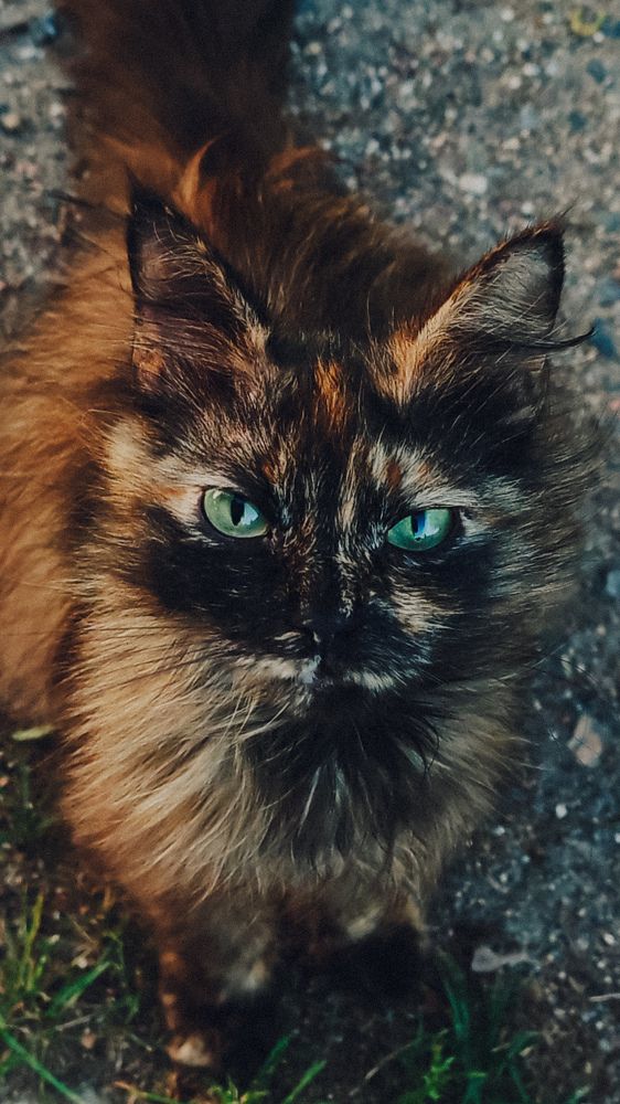 Photograph by Maria Stankevich