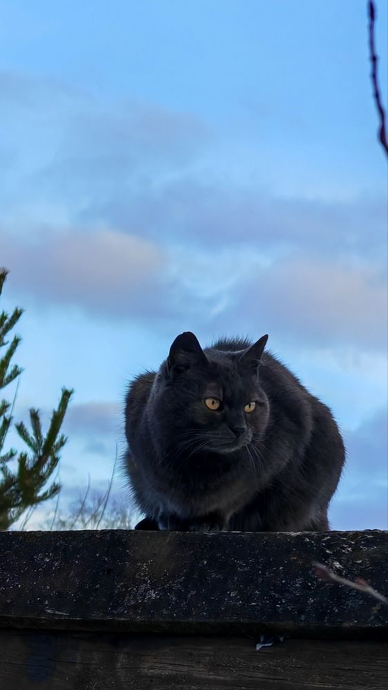 Photograph by Maria Stankevich