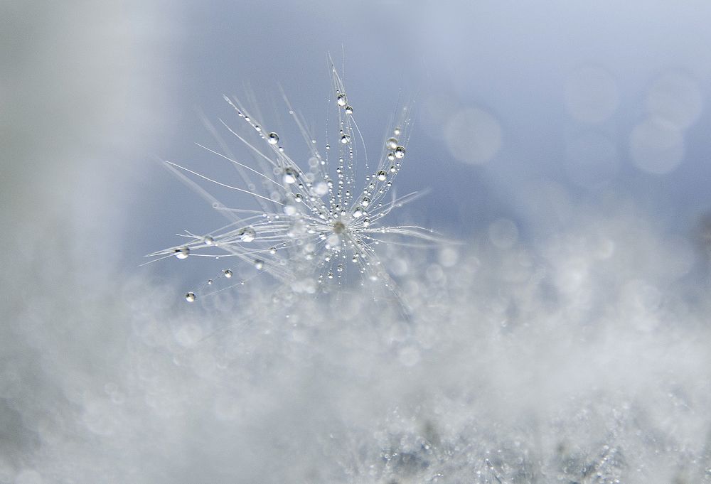 Photograph by Татьяна Титова