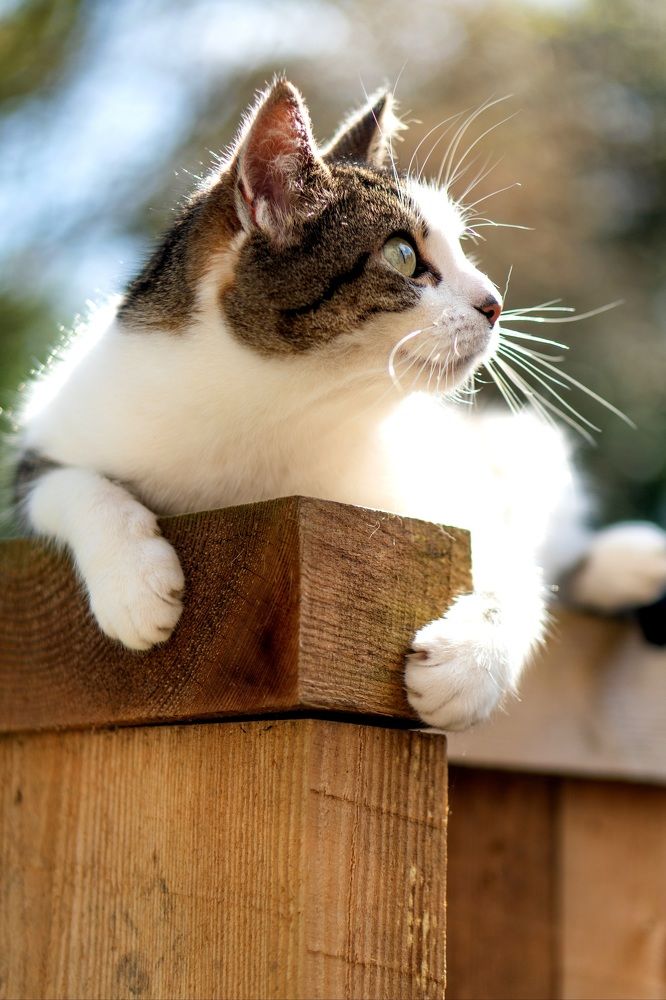 Photograph by Iryna Pravdiuk