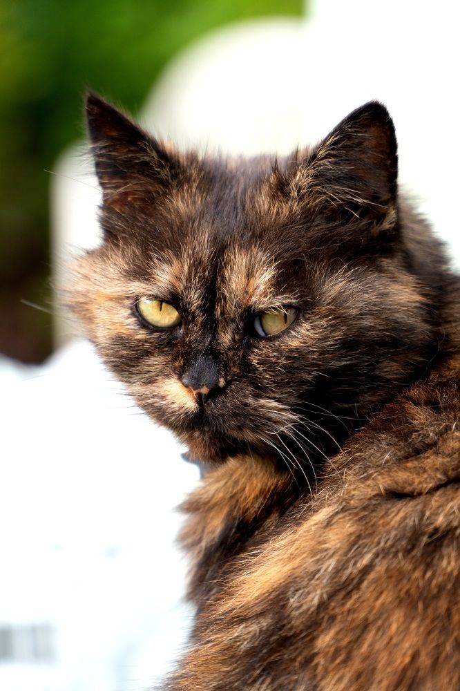 Photograph by Iryna Pravdiuk