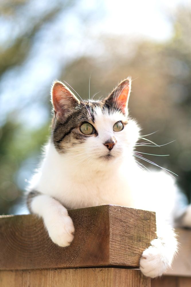 Photograph by Iryna Pravdiuk