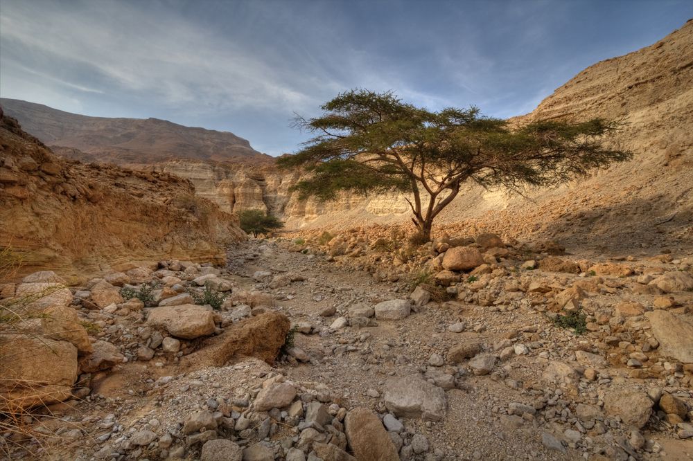 Фотография автора Nikolay Tatarchuk