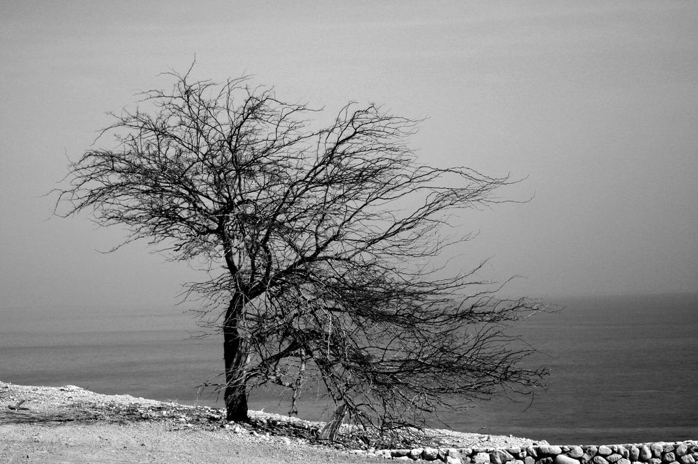 Фотография автора Nikolay Tatarchuk