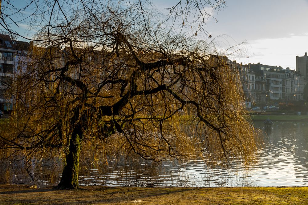 Фотография автора Nikolay Tatarchuk