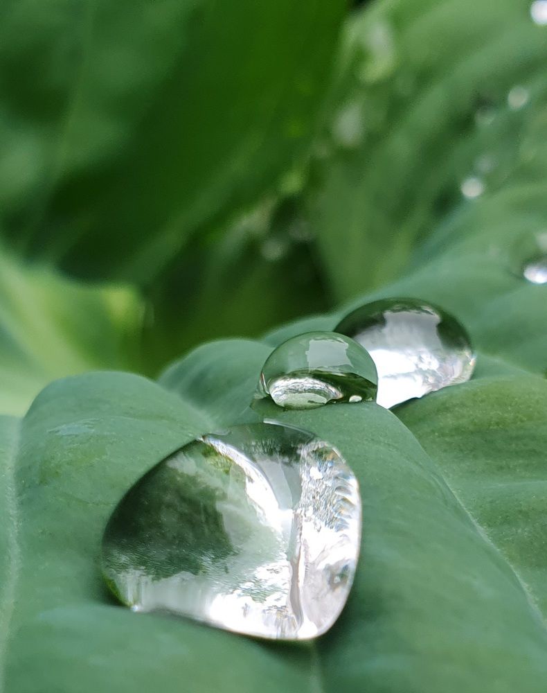 Photograph by Жанна Регор