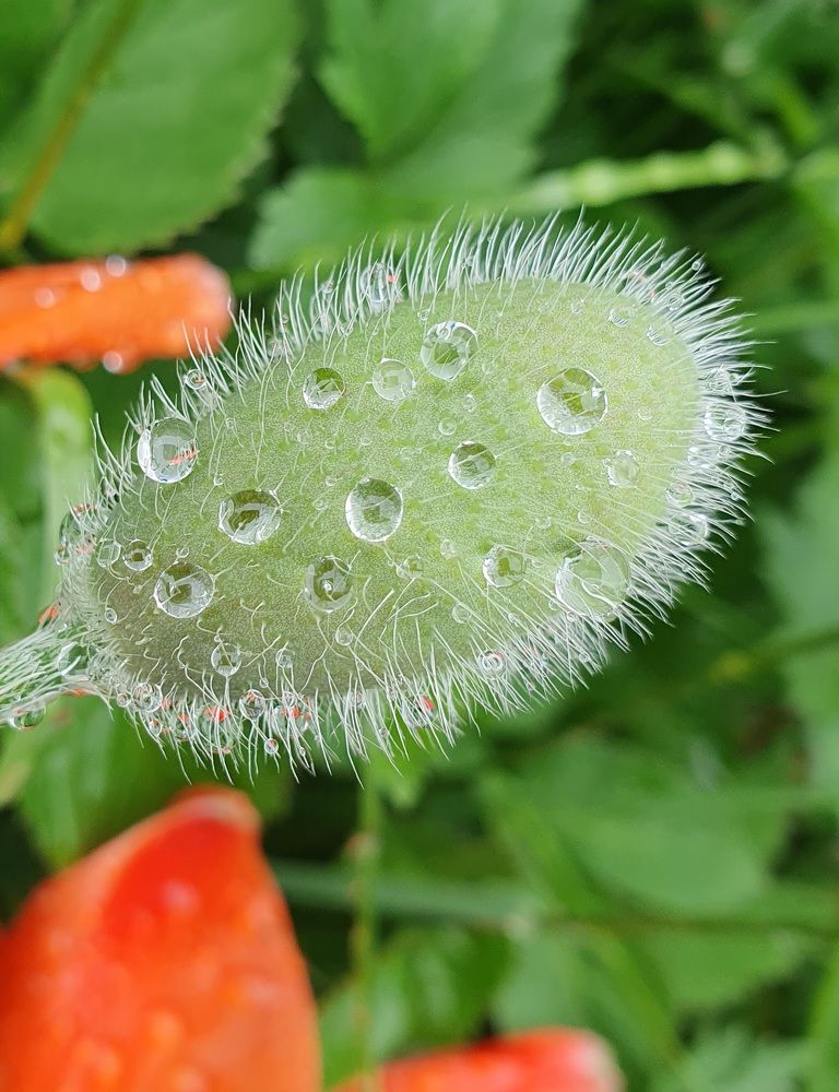 Photograph by Жанна Регор