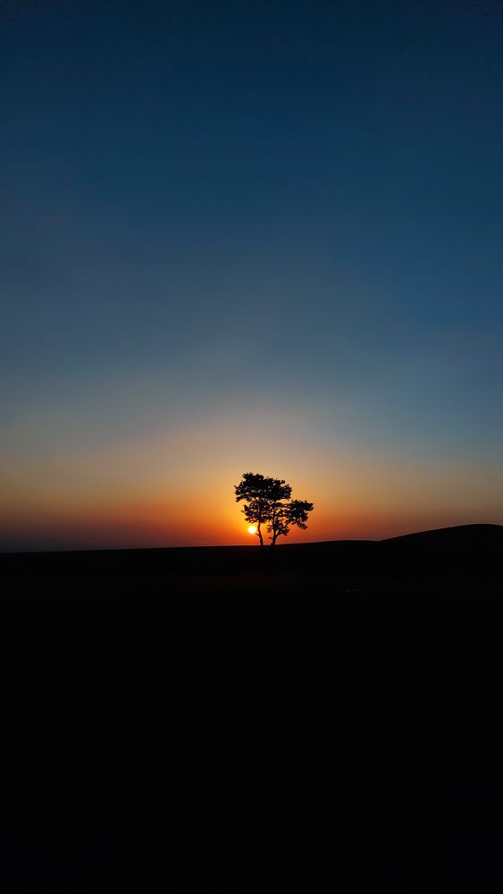 Photograph by Ali Amirkhani