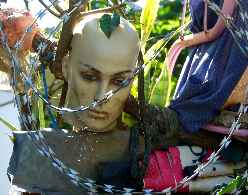 Фотография автора Silvia Tereza Ferrante de Lima