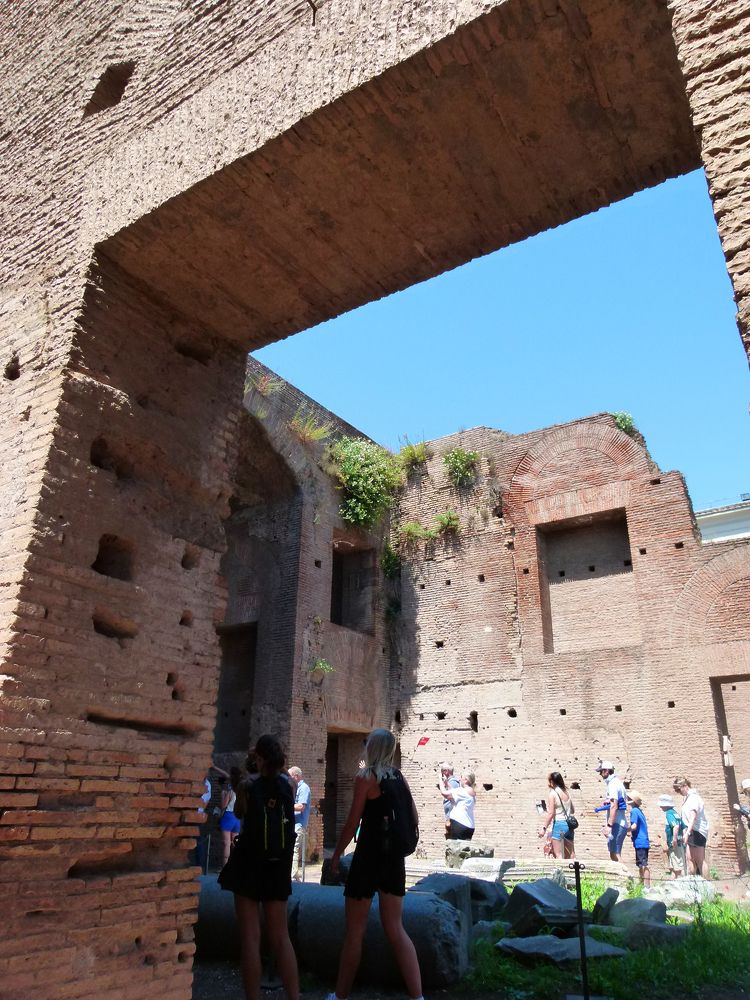 Фотография автора Silvia Tereza Ferrante de Lima