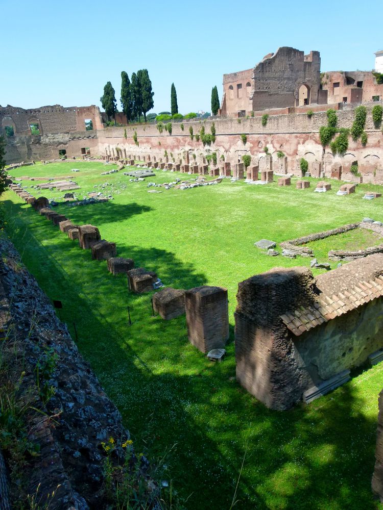 Фотография автора Silvia Tereza Ferrante de Lima