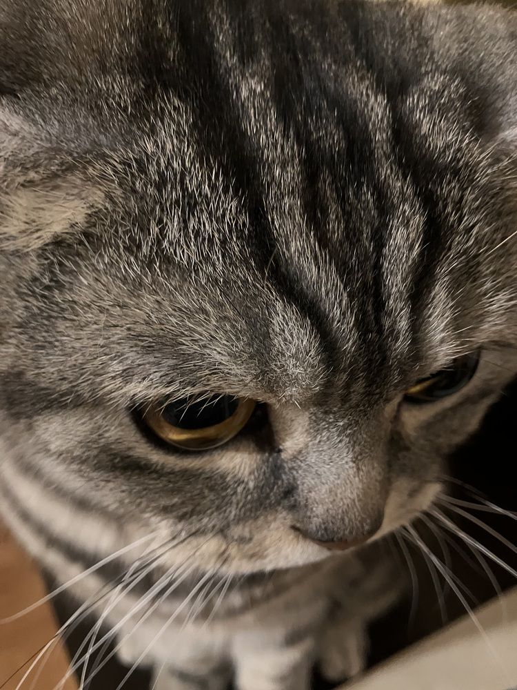 Photograph by Мария Карпычева