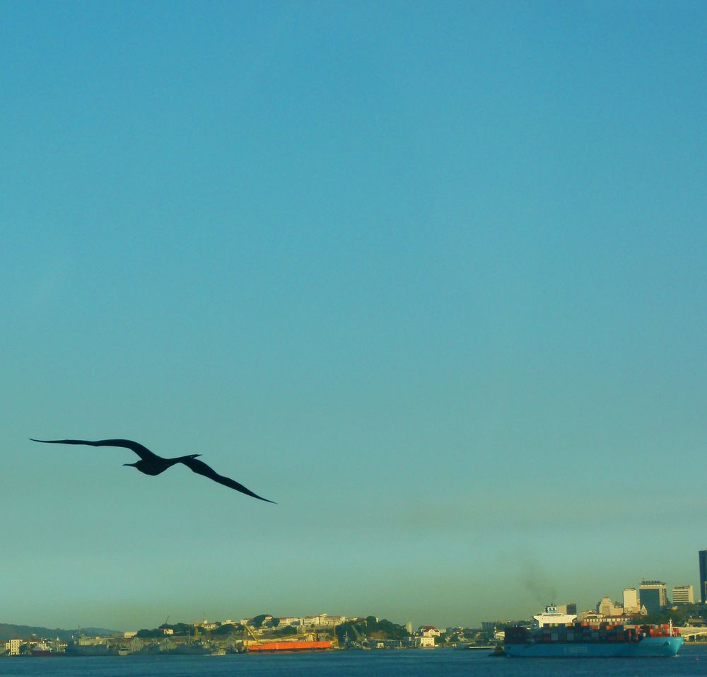 Фотография автора Silvia Tereza Ferrante de Lima