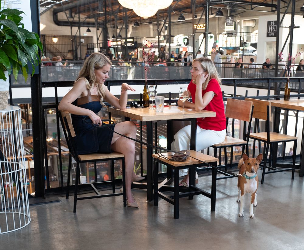 Две подруги и собака.