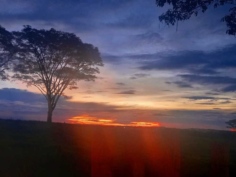 Фотография автора Silvia Tereza Ferrante de Lima