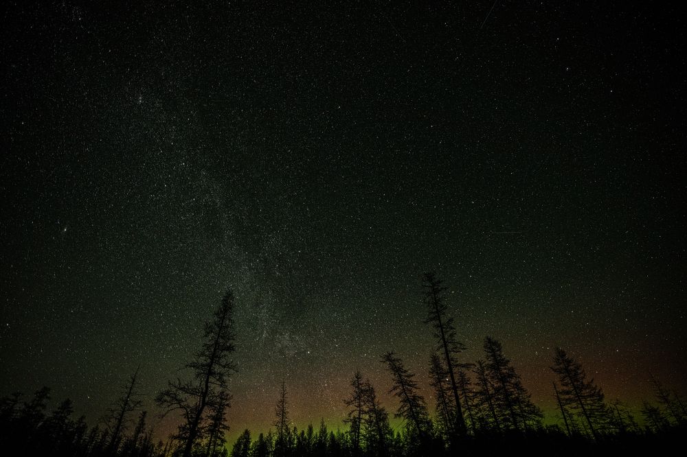 Фотография автора Ляшеев Дмитрий