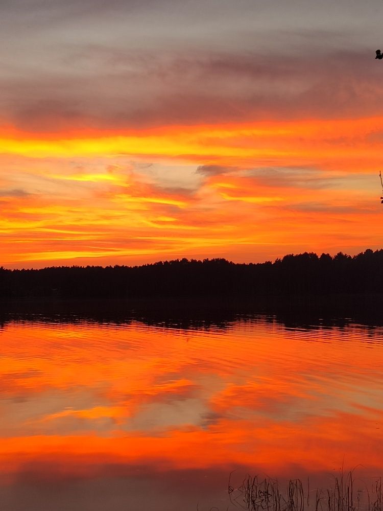 Photograph by Елена Аверьянова