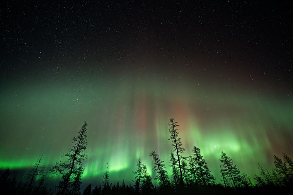 Фотография автора Ляшеев Дмитрий