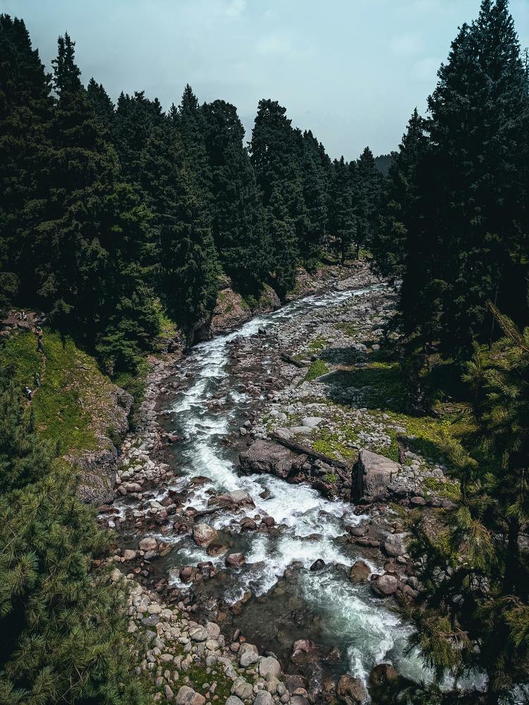 Photograph by Saqib Mir