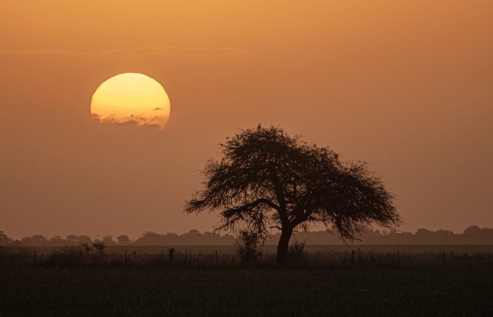 Photograph by Marina Martorelli