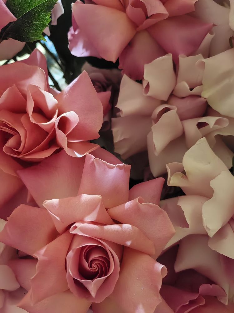 Photograph by Анна Матецкая