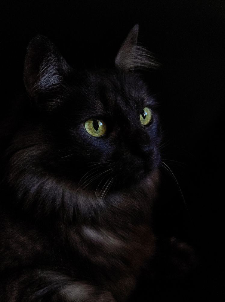 Photograph by Evgenia Korchagova