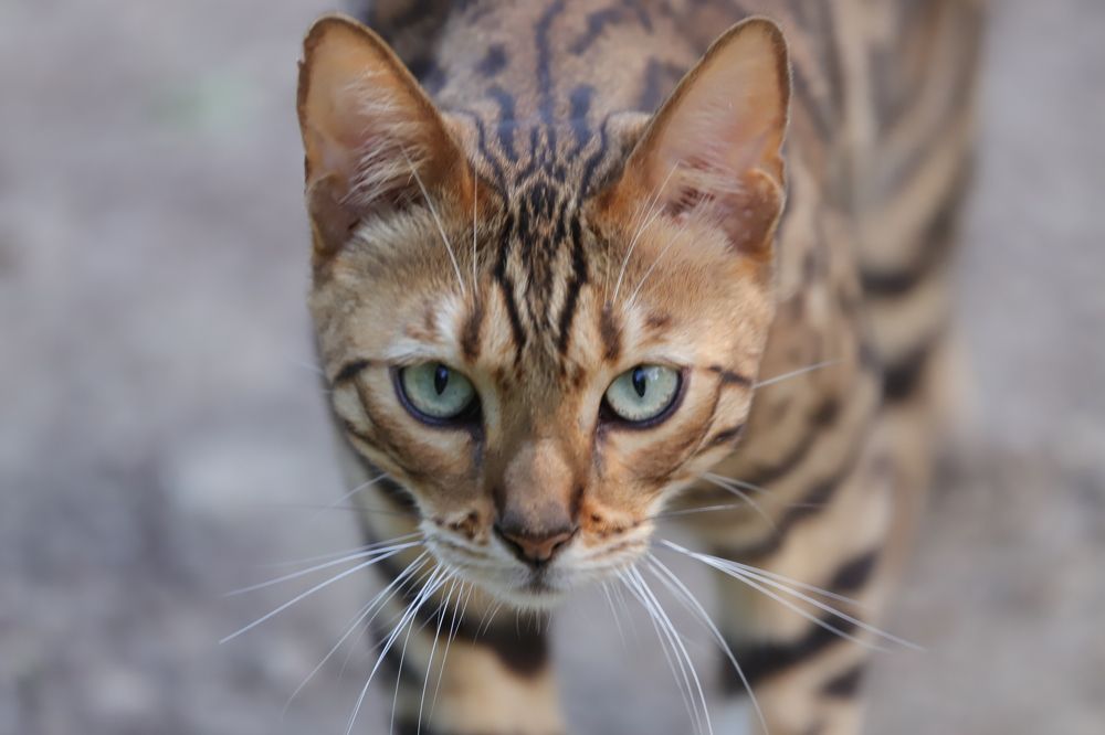 Photograph by Алексей