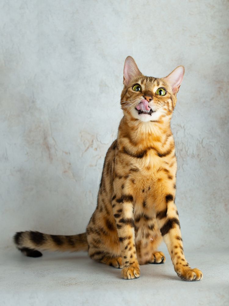 Photograph by Варвара Торокина